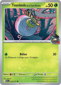 018 - Tissenboule de la Team Rocket