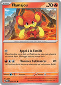 020 - Flamajou
