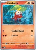 023 - Chochodile