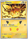 024 - Pikachu