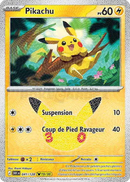 041 - Pikachu