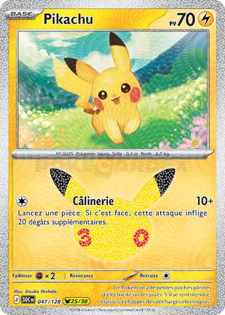 047 - Pikachu