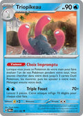 053 - Triopikeau