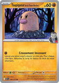 100 - Taupiqueur de la Team Rocket