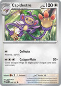 146 - Capidextre