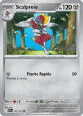 147 - Scalproie
