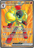 218 - Carmadura-ex