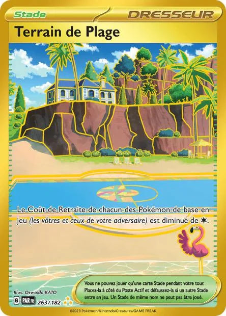 263 - Terrain de Plage