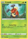 009 - Crikzik