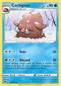 032 - Cochignon