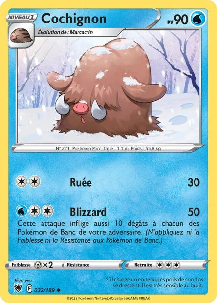 032 - Cochignon