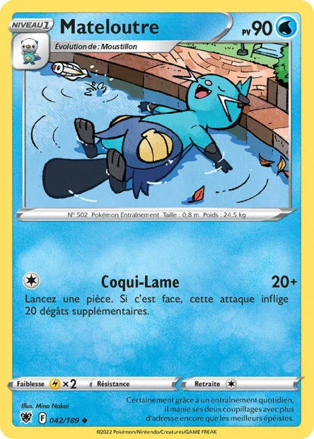 042 - Mateloutre