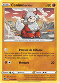 070 - Caninos_de_Hisui
