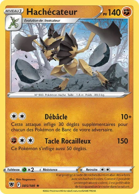 085 - Hachecateur