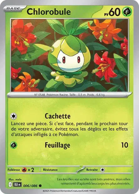 006 - Chlorobule
