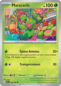 008 - Maracachi