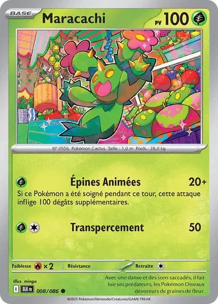 008 - Maracachi