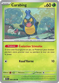 009 - Carabing