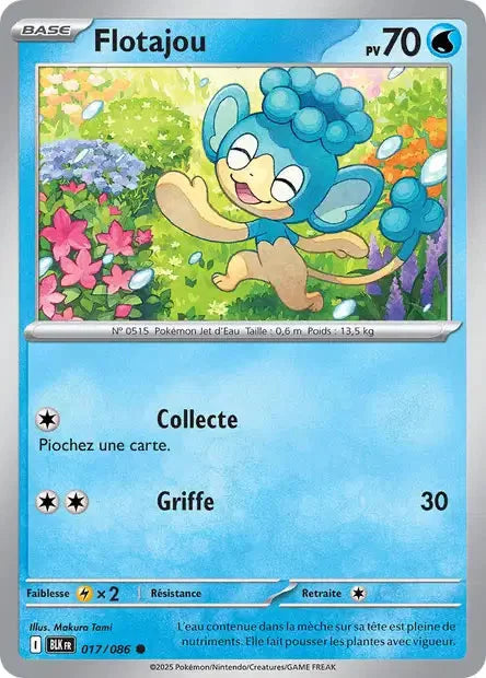 017 - Flotajou