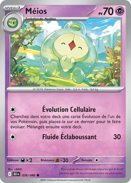038 - Méios