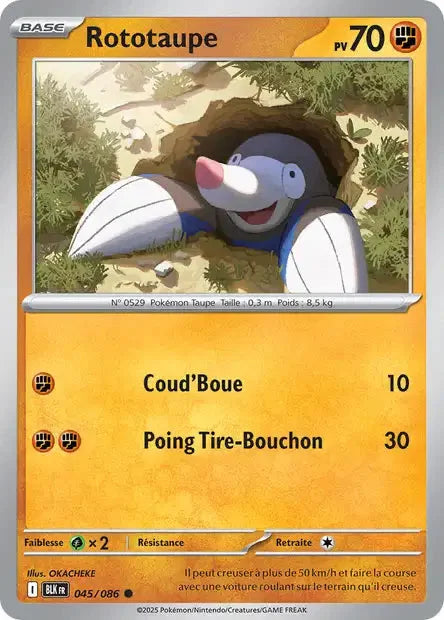 045 - Rototaupe