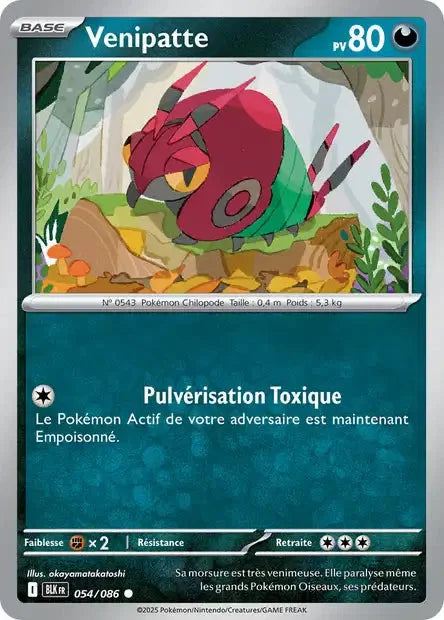 054 - Venipatte