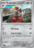 065 - Scalproie