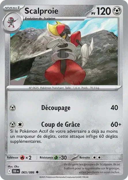 065 - Scalproie