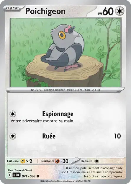 071 - Poichigeon