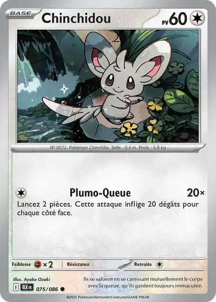 075 - Chinchidou