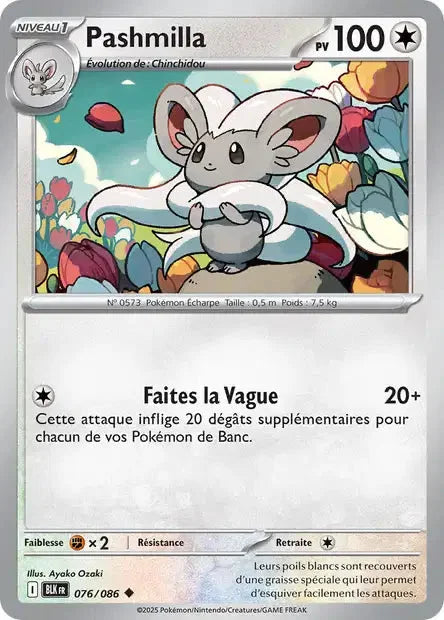 076 - Pashmilla