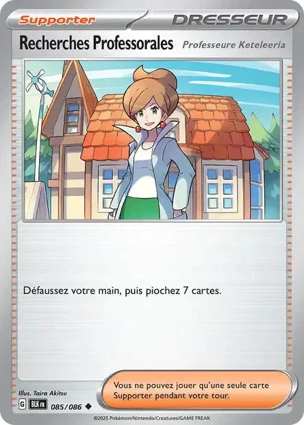 085 - Recherches Professorales