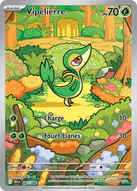 087 - Vipélierre