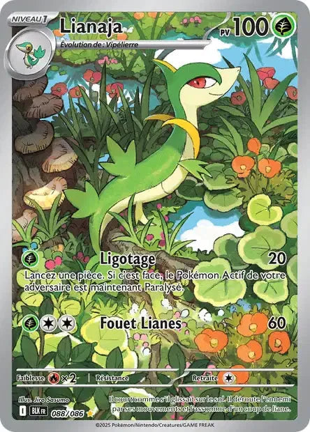 088 - Lianaja