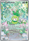 091 - Chlorobule