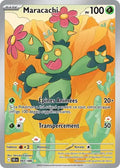 093 - Maracachi