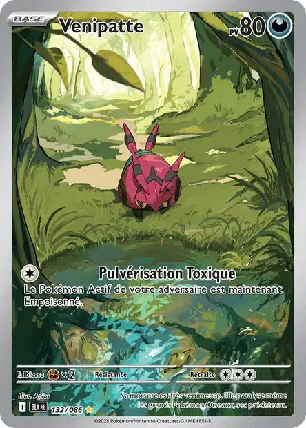 132 - Venipatte