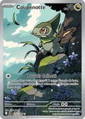 145 - Coupenotte