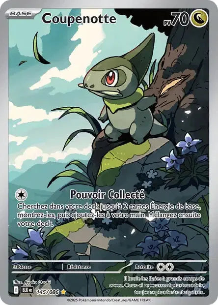 145 - Coupenotte