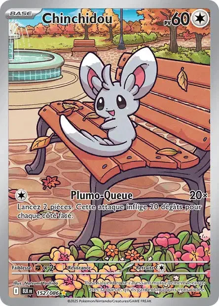 152 - Chinchidou
