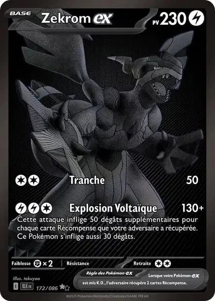 172 - Zekrom