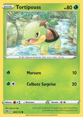 006 - Tortipouss