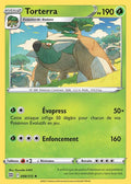 008 - Torterra