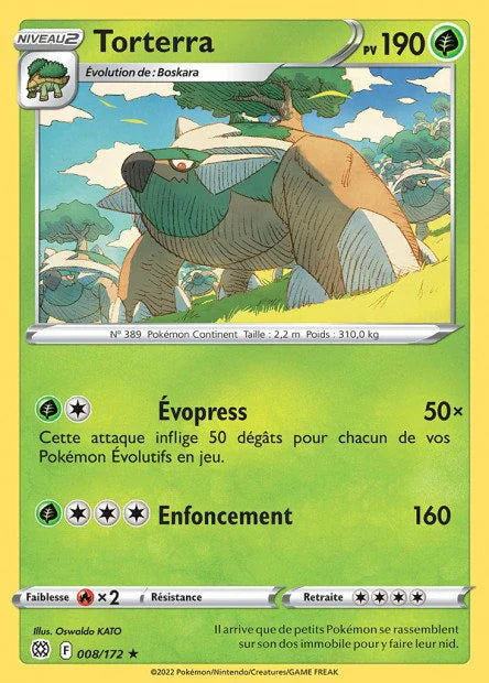 008 - Torterra