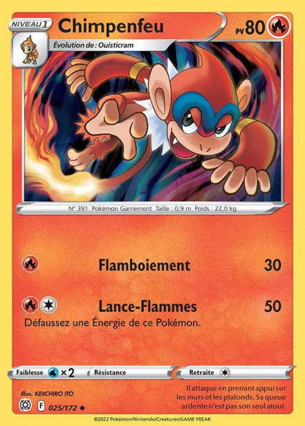 025 - Chimpenfeu
