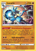 079 - Lucario