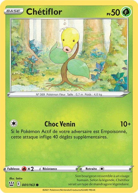 001 - Chetiflor