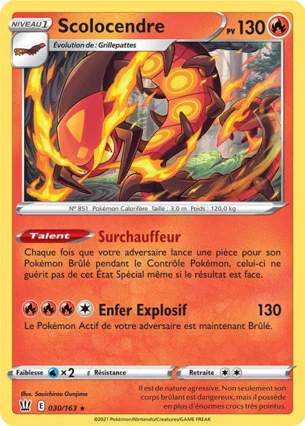 030 - Scolocendre
