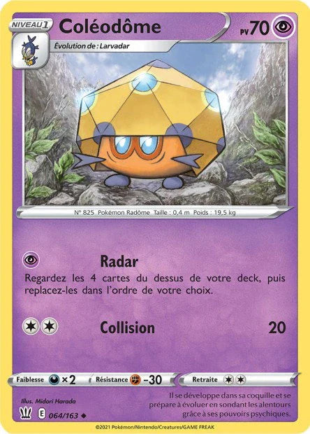 064 - Coleodome