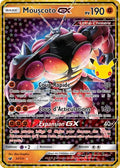 CC24 - Mouscoto-GX